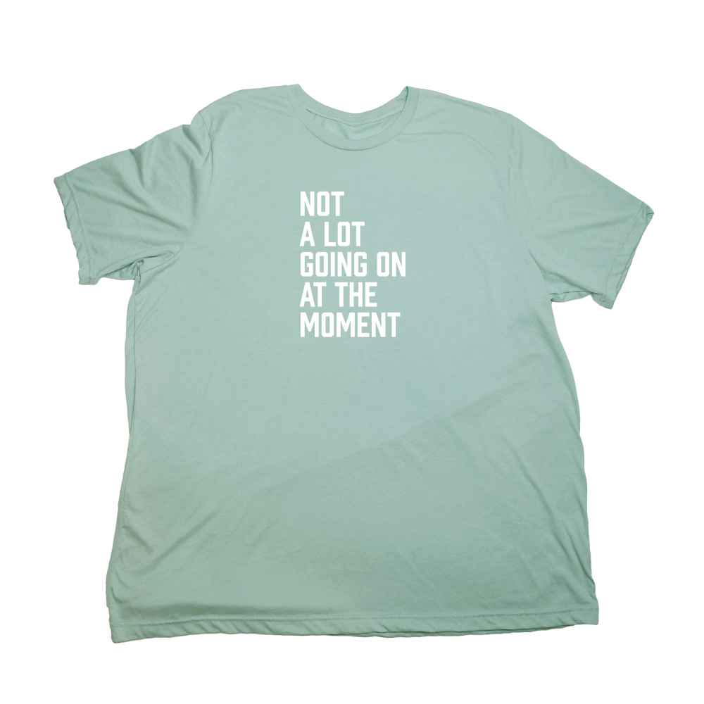 Pastel Green Not A Lot Going On Giant Shirt
